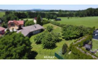 Grundstück zu kaufen in 5301 Eugendorf, Sonniger Baugrund in Eugendorf (Baugrund I)