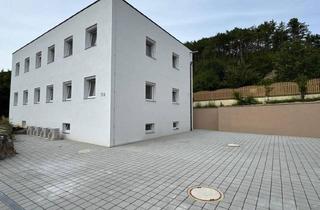 Wohnung kaufen in Hauptstrasse 31, 2753 Ober-Piesting, *Neubau* 2-Zimmer Eigentumswohnung *Erstbezug* mit Keller und 2 PKW Stellplätze