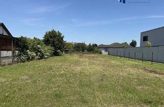 Grundstück zu kaufen in Weikendorf, 2253 Stripfing, Leben im Grünen nahe der Metropole - großzügiges Baugrundstück mit Altbestand in Stripfing