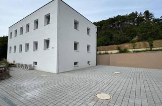 Wohnung kaufen in Hauptstrasse 31, 2753 Ober-Piesting, *Neubau* 3-Zimmer Eigentumswohnung *Erstbezug* mit Keller und 2 PKW Stellplätze