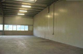 Gewerbeimmobilie mieten in 3150 Wilhelmsburg, Lagerhalle mit 575 m² in Wilhelmsburg zu vermieten!