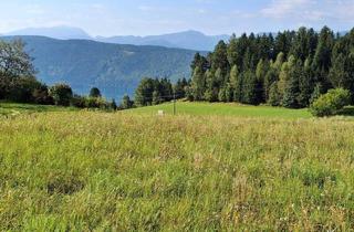 Grundstück zu kaufen in 9872 Sappl, Traumhaftes Baugrundstück in Sappl, Kärnten – Blick auf den Millstätter See.