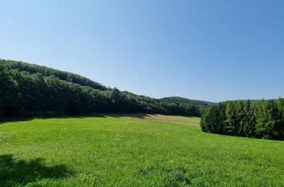 Agrarfläche kaufen in 3021 Pressbaum, LANDWIRTSCHAFT VOR DEN TOREN WIENS