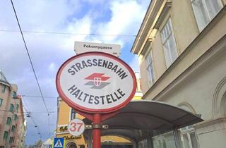 Wohnung kaufen in Wertheimsteinpark, 1190 Wien, GEPFLEGTE ANLAGEWOHNUNG - GUT VERMIETET - AUSGEZEICHNETE INFRASTRUKTUR - IDYLLISCHER GEMEINSCHAFTSGARTEN