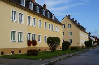Wohnung mieten in Siedlerstraße 22, 3150 Wilhelmsburg, Gemütliche 1-Zimmer-Wohnung mit Gartenanteil