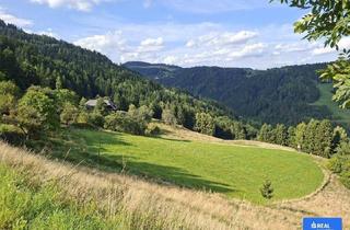 Bauernhäuser zu kaufen in 9433 Sankt Andrä, Traumhaft gelegene Landwirtschaft mit Hofstelle in Unterkärnten