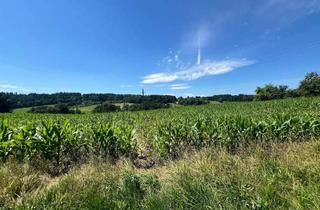 Grundstück zu kaufen in Wollsdorfstraße/Rabnitzstrasse ???, 8062 Rabnitz, Bauland im wunderschönen Kumberg mit Blick auf den schöckl