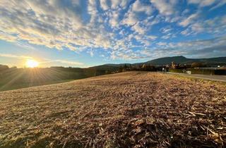 Grundstück zu kaufen in Wollsdorfstraße/Rabnitzstrasse ???, 8062 Rabnitz, Bauland im wunderschönen Kumberg mit Blick auf den schöckl