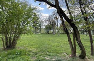 Wohnung mieten in Stephensongasse, 1210 Wien, Beautiful and furnished 107 m² 4 room apartment with terracce for rent in 1210 Vienna located directly at the Obere Alte Donau!