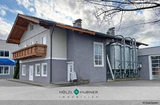 Büro zu mieten in 5202 Neumarkt am Wallersee, Produktionsfläche zum Vermieten - im Salzburger Flachgau