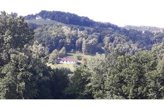 Immobilie kaufen in Rinngrabenstr 89, 8282 Loipersdorf bei Fürstenfeld, Landwirtschaft 5,3 Hektar
