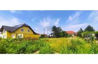 Grundstück zu kaufen in 2514 Traiskirchen, RIESIGES GRUNDSTÜCK - BIS ZU 4 REIHENHÄUSER MÖGLICH