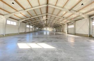 Lager mieten in 2201 Hagenbrunn, HALLE für Lagerung oder Produktion + BÜRO gleich bei Wien Nord // 50 kWp Photovoltaik + Luftwärmepumpe // Nähe G3, Autobahn, Brünner Straße