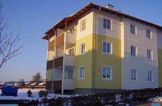 Wohnung mieten in Lindenstraße 6/1, 4761 Enzenkirchen, Objekt 786: 2-Zimmerwohnung in 4761 Enzenkirchen, Lindenstraße 6, Top 1