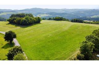 Gewerbeimmobilie kaufen in 2803 Schwarzenbach, Grundstück mit Baumbestand für landwirtschaftliche Zwecke | 60.053 m² | Schwarzenbach in der Buckligen Welt