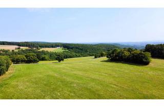 Grundstück zu kaufen in 2803 Schwarzenbach, Grundstück mit Baumbestand für landwirtschaftliche Zwecke | 60.053 m² | Schwarzenbach in der Buckligen Welt
