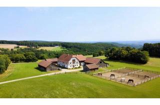 Grundstück zu kaufen in 2803 Schwarzenbach, Grundstück mit Baumbestand für landwirtschaftliche Zwecke | 60.053 m² | Schwarzenbach in der Buckligen Welt