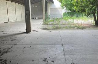 Immobilie mieten in 2301 Groß-Enzersdorf, Vielseitig nutzbares Gelände - ideal für für Werkstatt, Fahrzeuge & Lagerflächen