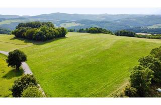 Grundstück zu kaufen in 2803 Schwarzenbach, Grundstück mit Baumbestand für landwirtschaftliche Zwecke | 60.053 m² | Schwarzenbach in der Buckligen Welt