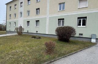 Wohnung mieten in Neubaustraße 17, 4300 Sankt Valentin, Lichtdurchflutet, praktisch geschnitten: 2-Zimmer-Wohnung mit Tageslichtbad mit fairer Miete