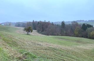 Grundstück zu kaufen in 8082 Kirchbach in Steiermark, Zusammenhängende Grundstücksflächen für landwirtschaftliche Nutzung