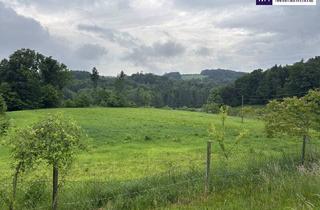 Grundstück zu kaufen in Riesstrasse, 8063 Eggersdorf bei Graz, ++ SELTENE GELEGENHEIT ++ GENIAL für PFERDEHALTUNG ++ BAUERNHOF mit ca. 7 HA Landwirtschaftlicher Fläche und Wald ++ NEBENGEBÄUDE++ NÄHE GRAZ++