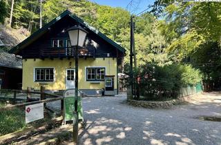 Gewerbeimmobilie kaufen in 2500 Baden, Traditionsreicher Gastronomiebetrieb mit Wohnung und beeindruckender Grundstücksgröße in Baden
