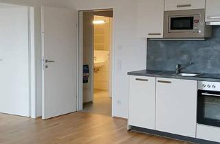 Wohnung mieten in Tassilostraße 16/7, 4642 Sattledt, SATTLEDT NEUBAU - TOP 2.7 - ERSTBEZUG - 2 Zimmerwohnung mit eigenem Tiefgaragenplatz