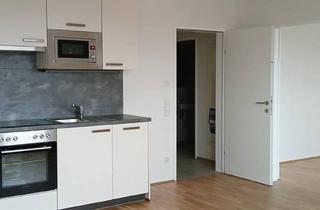 Wohnung mieten in Tassilostraße 16/6, 4642 Sattledt, SATTLEDT NEUBAU - TOP 2.6 - ERSTBEZUG - 2 Zimmerwohnung mit eigenem Tiefgaragenplatz oder Freiparkplatz