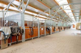 Lager kaufen in 8332 Edelsbach bei Feldbach, 1/2 REITERHOF - 1.000 MÖGLICHKEITEN