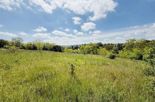 Grundstück zu kaufen in 3711 Großmeiseldorf, Baugrundstück plus Grünland mit tollem Ausblick