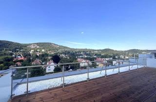 Wohnung kaufen in Gaadner Straße 21, 2371 Hinterbrühl, Dachterassentraum mit traumhaften Panoramablick und Eigengarten