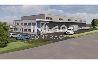 Büro zu mieten in 4300 Sankt Valentin, Neue moderne Produktions- und oder Lagerhalle mit Bürotrakt in bester Lage von St. Valentin