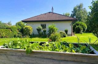 Haus kaufen in 2722 Winzendorf, Einziehen und bleiben! Gepflegter Bungalow, traumhafte Grünlage!