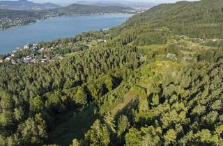 Grundstück zu kaufen in 9081 Sekirn, Rarität: Grundstücksareal in Sekirn #Südufer #Wörthersee