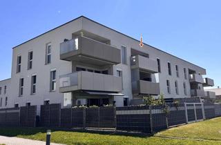 Wohnung kaufen in 4111 Walding, Abendsonne genießen – moderne Wohnung mit West-Loggia