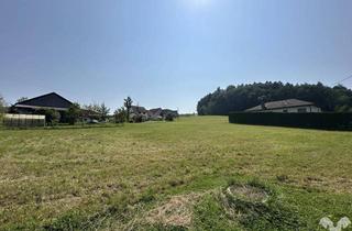 Grundstück zu kaufen in 8321 Zöbing, Baugrundstück min. 1000m² in Sonnenlage bei St. Margarethen a. d. Raab