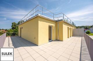 Wohnung kaufen in Kabanenweg, 3040 Neulengbach, Wohnpark Neulengbach | Erstbezug | DG | 48 m² Terrasse