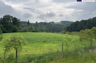Grundstück zu kaufen in 8063 Eggersdorf bei Graz, ++ SELTENE GELEGENHEIT ++ GENIAL für PFERDEHALTUNG ++ BAUERNHOF mit ca. 7 HA Landwirtschaftlicher Fläche und Wald ++ NEBENGEBÄUDE++ NÄHE GRAZ++