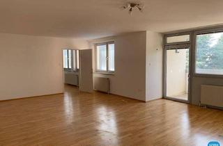 Wohnung mieten in Peter-Jordan-Straße, 1190 Wien, Loggiawohnung in Grünlage