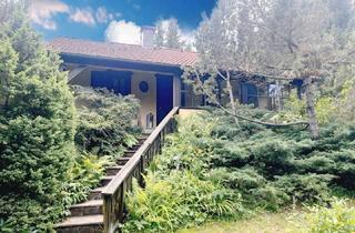Haus kaufen in 2724 Stollhof, Ihr Rückzugsort im Grünen - Charmantes Haus auf 1.700 m2 Naturparadies direkt auf der Hohen Wand-Maiersdorf