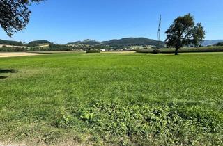 Immobilie kaufen in 3241 Kirnberg an der Mank, Landwirtschaftliche Fläche