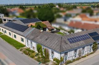 Lager kaufen in 2471 Pachfurth, Seltene Gelegenheit, vielseitige Liegenschaft (Zweifamilien- Wohnhaus, Lagermöglichkeiten, moderne Bürogebäude etc.) - mit idealer Anbindung an die A4 - Wien - Slowakei - Ungarn
