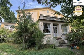 Haus kaufen in Casiin Baden, Strandbad Baden, 2500 Baden, Historisches Herrenhaus im Villenviertel von Baden: ca.450m² WF mit Grundfläche von 1873qm und 17 Zimmern zum Sanieren! (V2 & Schut