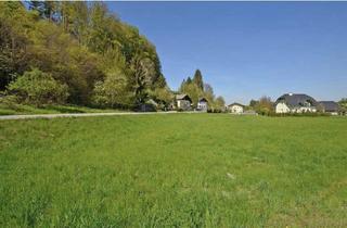 Grundstück zu kaufen in Sollern 55, 5230 Mattighofen, Baugrund in Pfaffstätt / Mattighofen