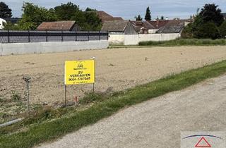 Grundstück zu kaufen in 2301 Groß-Enzersdorf, PREISGESENKT: NEUER PREIS! Baugründe in bester Lage!