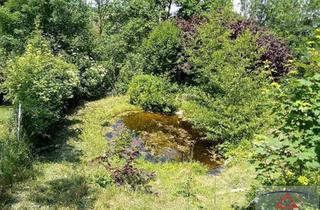 Grundstück zu kaufen in 3352 Sankt Peter in der Au-Markt, Ein kleines, feines und günstiges Sacherl mitten im Grünen!