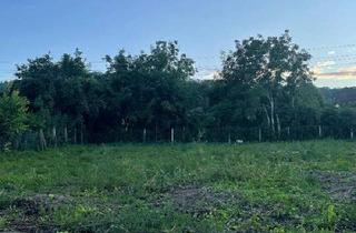 Grundstück zu kaufen in 3701 Großweikersdorf, Ca.932 m² großer sonniger Baugrund in Großweikersdorf