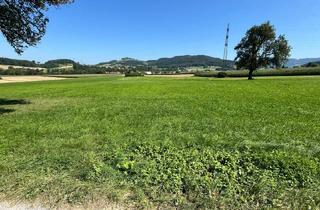 Agrarfläche kaufen in 3241 Kirnberg an der Mank, Landwirtschaftliche Fläche