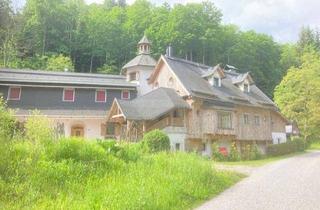 Mehrfamilienhaus kaufen in 9582 Latschach, Liebhaber Anwesen - Landhaus - großzügiges Grundstück in absoluter Ruhelage